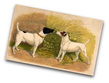 stacks_image_2B0E585B-A46F-4D4F-AF34-9B0F5E3BF0BF