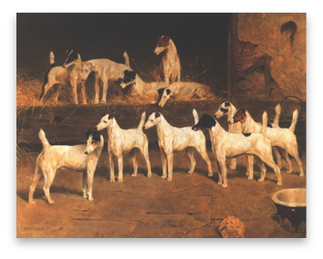 stacks_image_FE748652-82DE-4881-9A51-86FFB4506734