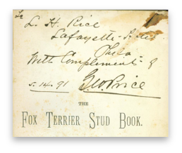 stacks_image_DF3181E2-EA79-409D-AF7D-2844E28ECB87