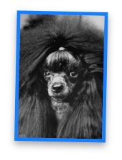 stacks_image_09987077-E814-4770-983B-4E3061B2044C