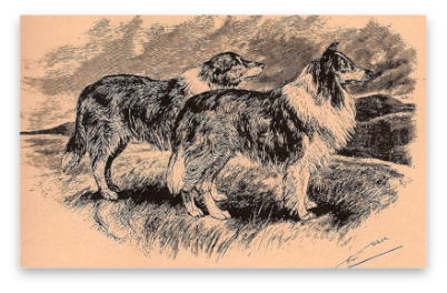 stacks_image_A258E9A2-9881-4ED5-8286-59D867A36B9E