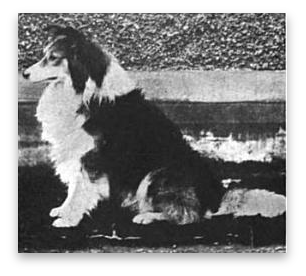 stacks_image_8C9E250C-FB86-4B82-8D72-74F464C33F8A