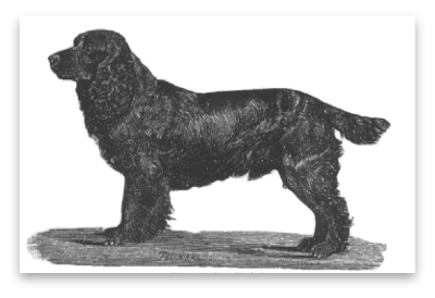 stacks_image_A104F189-37B3-4D93-896C-D75DA3B486E6