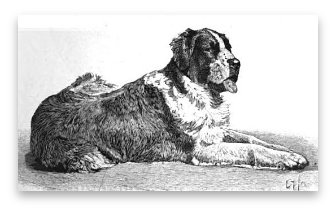 stacks_image_DBD3EE79-4F7F-4062-9C89-50642217A8E0