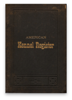 stacks_image_E586DBB0-02CB-440E-AD84-92C9A374544B