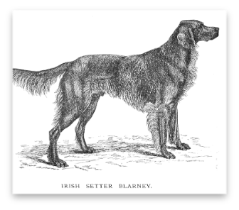 stacks_image_5D39BFA1-1BB6-4AEB-906C-D73F7DCA4B75