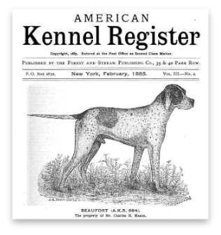 stacks_image_BDD72CFD-1318-4CE6-B416-83553D3486EC