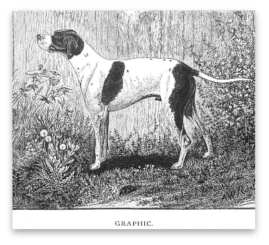 stacks_image_053992DA-9CBB-43D2-BD3E-C251720D2FCC