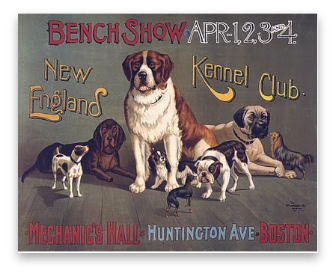 stacks_image_3AA7041C-377D-49B0-B768-D8ACFFE0C332