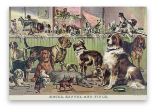 stacks_image_B0F8004E-3DCE-4D33-B20F-49D148FD2C2E