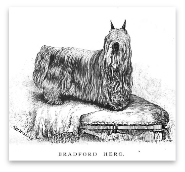 stacks_image_DD13E029-EDA6-49D6-A073-9B7835AECE71