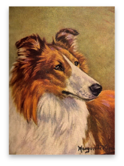 stacks_image_F47C6AA4-99B6-4852-BA1C-B3DD7DE6882A