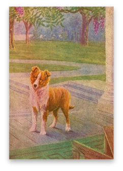 stacks_image_65A7E475-00D5-443C-BF33-AA984968F4A6