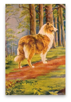 stacks_image_4F9C5603-B02D-447B-93D0-3D8446970053