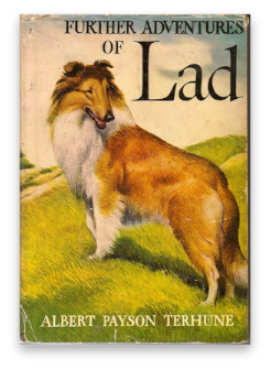 stacks_image_538E4B50-2D5E-48F7-851F-5E515BF2A003