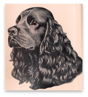 stacks_image_82ADCB2D-2653-4C64-8D34-03DF47CE0091