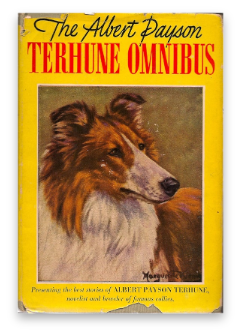 stacks_image_AD6AA277-0034-4EBC-887D-0EC009FB86E2