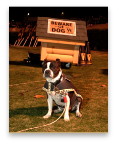 stacks_image_C9E36EED-FD56-4151-BD0A-4628F14E102E