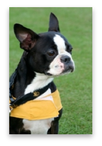 stacks_image_95F2A342-77BD-4735-A76C-4219A62BFA88