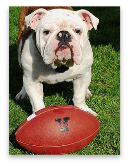 stacks_image_4BB9AD44-2990-469D-923A-206F5C06F341