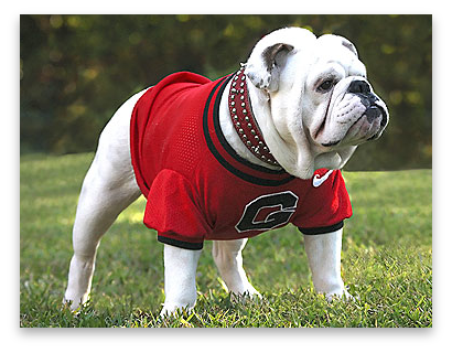 stacks_image_65BE9202-1075-4E22-B01E-10310C2AB138