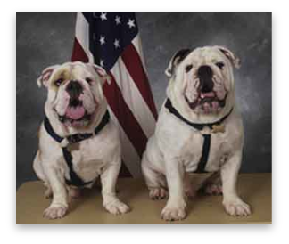 stacks_image_72C27A7D-6A59-4344-ABDF-CC461519A18D