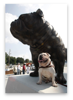 stacks_image_5E8438D9-251B-4A70-A759-28206E26DC24