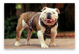 stacks_image_372991B9-FECB-476A-8F02-D4AD0748CA6E