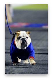 stacks_image_6FB20506-EBAD-41F8-9107-2EE428FCFDDD