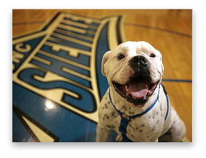 stacks_image_2CBB7FFC-CB59-4713-AFAE-C45DF30B8A96