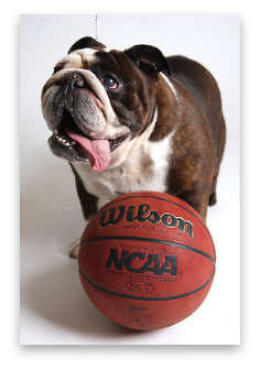 stacks_image_FB9B6C11-766B-4AD4-BFA4-FA2C3C1B5818