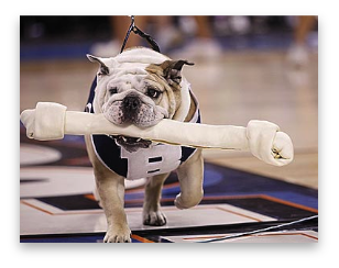 stacks_image_21E6403C-FE51-4FC9-8A3A-6C3A62E8EF78