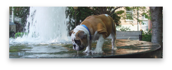 stacks_image_AB094878-E81C-4DAD-96B3-E94BB278D809