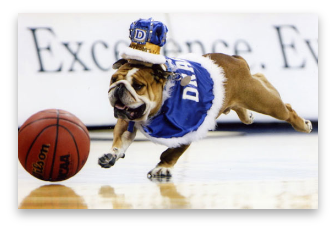 stacks_image_C29302FE-872C-4B68-919C-CB2E757C6452