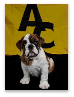 stacks_image_AF836496-B495-428B-BFE1-F2936CFB1532