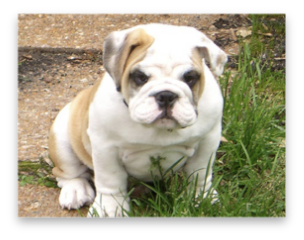 stacks_image_1E1B82ED-93B1-4EBE-9823-4607BA89F0F1