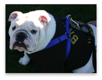 stacks_image_5DC10908-C744-48DE-94B5-4C909F443394