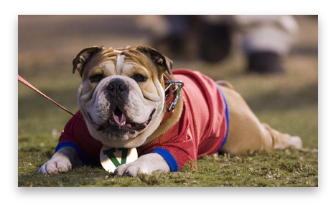 stacks_image_D9ADA3BB-FE86-4382-90CF-F8F0D6FC2453