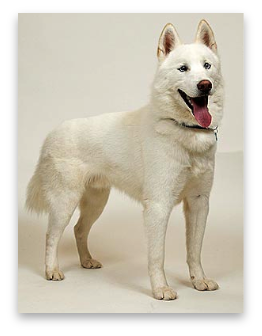 stacks_image_49E2C3E1-D1F2-4DA8-A77A-EDB73FD36FB6