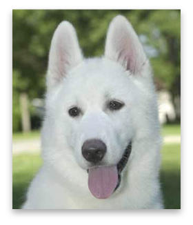 stacks_image_AEE1C2A4-A025-4EC1-8706-7EAAC59B1673