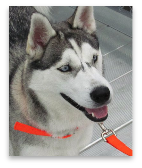 stacks_image_E6A1EB94-633B-48E5-9F6D-2986BF971E67