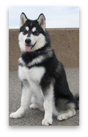 stacks_image_CA3FBF80-2EFB-4DA5-A2C4-9C62B25ACCAB