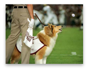 stacks_image_19C522D2-06B4-4285-8C94-11221994A26C