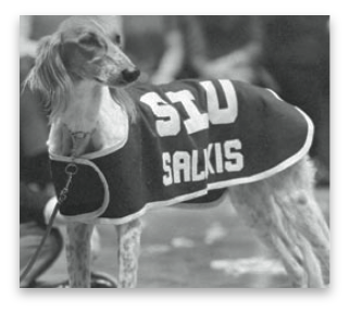 stacks_image_F1CE4C99-2494-4A39-834B-6A11FA944000