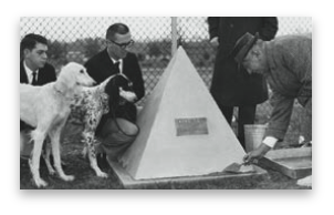 stacks_image_89F54292-9F0C-4ED2-8BF0-E4DDD0FB7B32