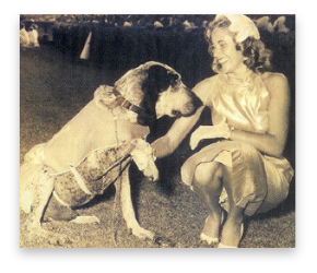 stacks_image_B81FE05C-85D7-4774-957E-C238851253B0