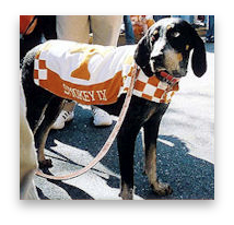 stacks_image_68F59644-5004-4A7C-8A2C-4673A590FC5E