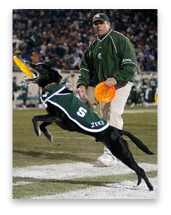 stacks_image_0C7F358A-A679-4391-A5BA-DA5226621509