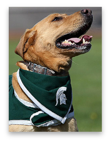 stacks_image_C8E3F17B-C448-4D80-A99C-5EE8A5F3E104