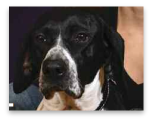 stacks_image_D6E06CDD-E713-43A9-B74A-DDCB242C09CE